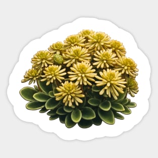 Stonecrop Sticker